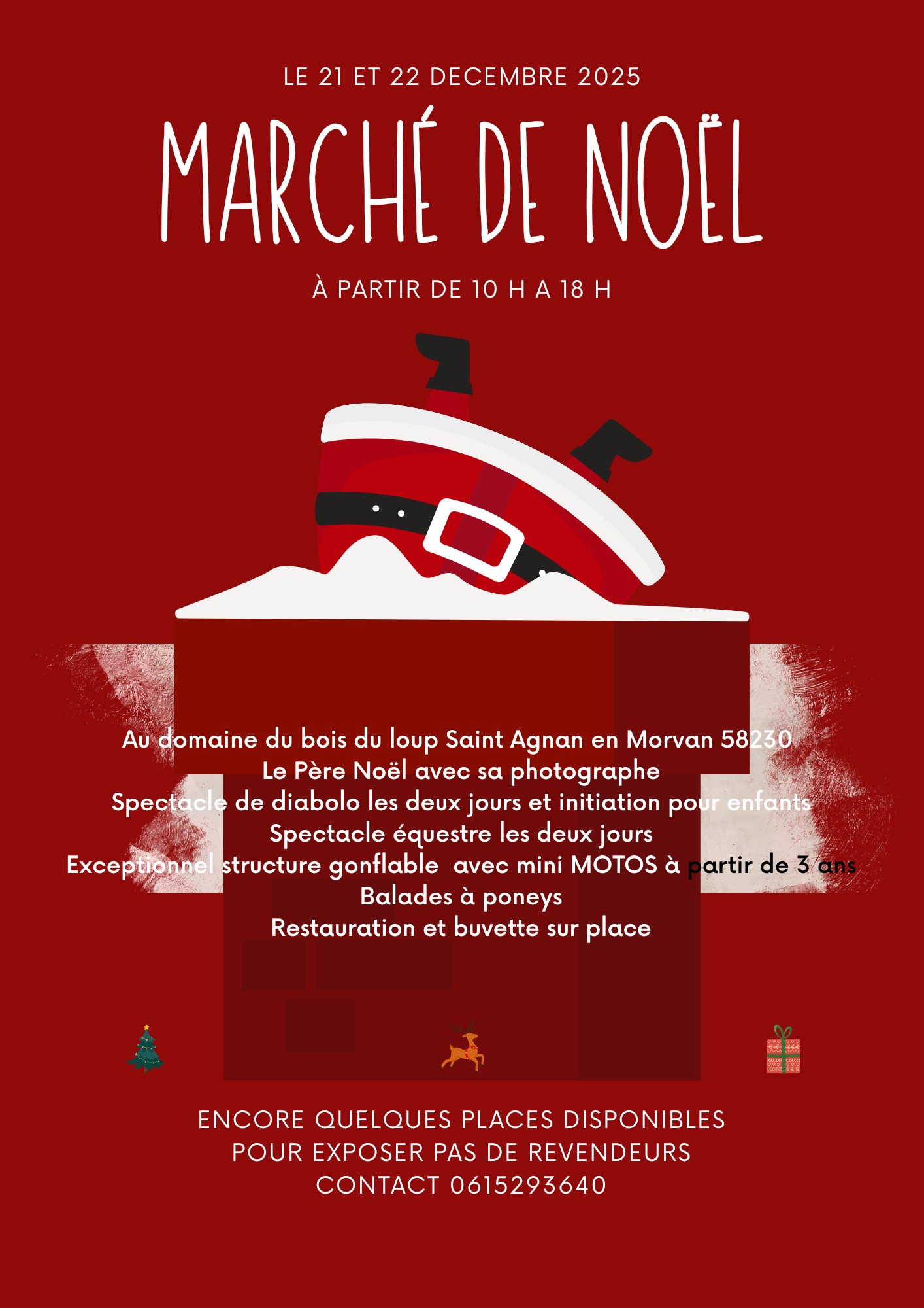 affiche Marché de Noël à Saint-Agnan