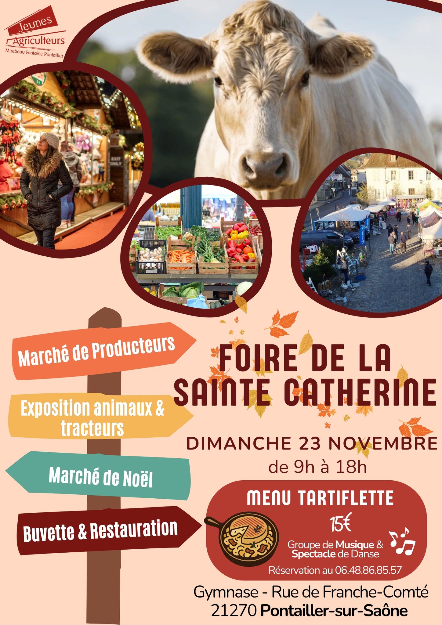 affiche Foire de la Sainte Catherine à  Pontailler-sur-Saône