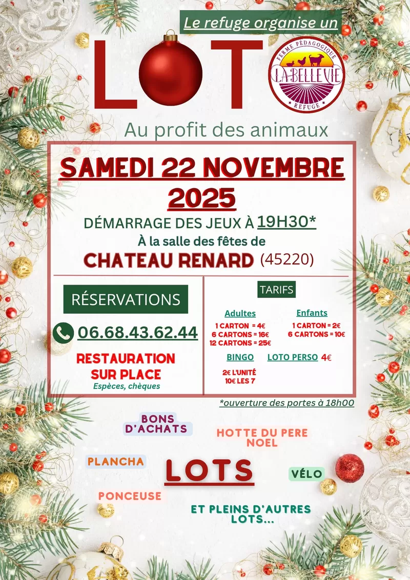affiche Loto à  Château-Renard