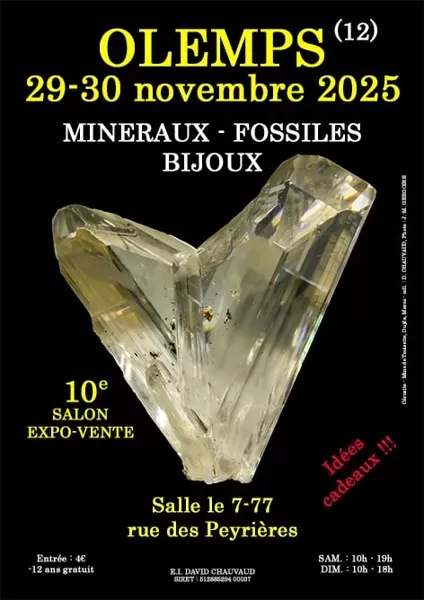 affiche 10e Salon Minéraux Fossiles Bijoux à  Olemps