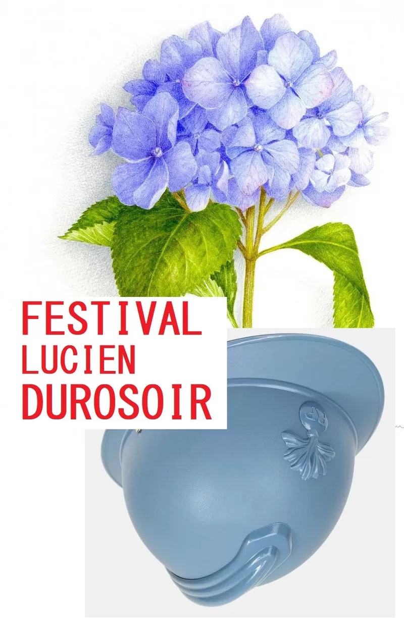 affiche FESTIVAL LUCIEN DUROSOIR à Saint-Lon-les-Mines