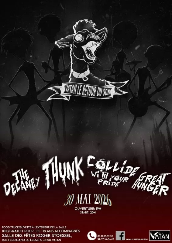 affiche Festival Vatan Le Retour du Son à  Vatan