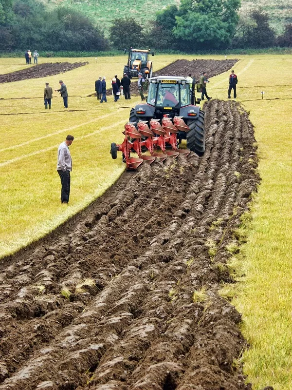 affiche Journée agricole - concours de labour, vide greniers à  Lanouaille