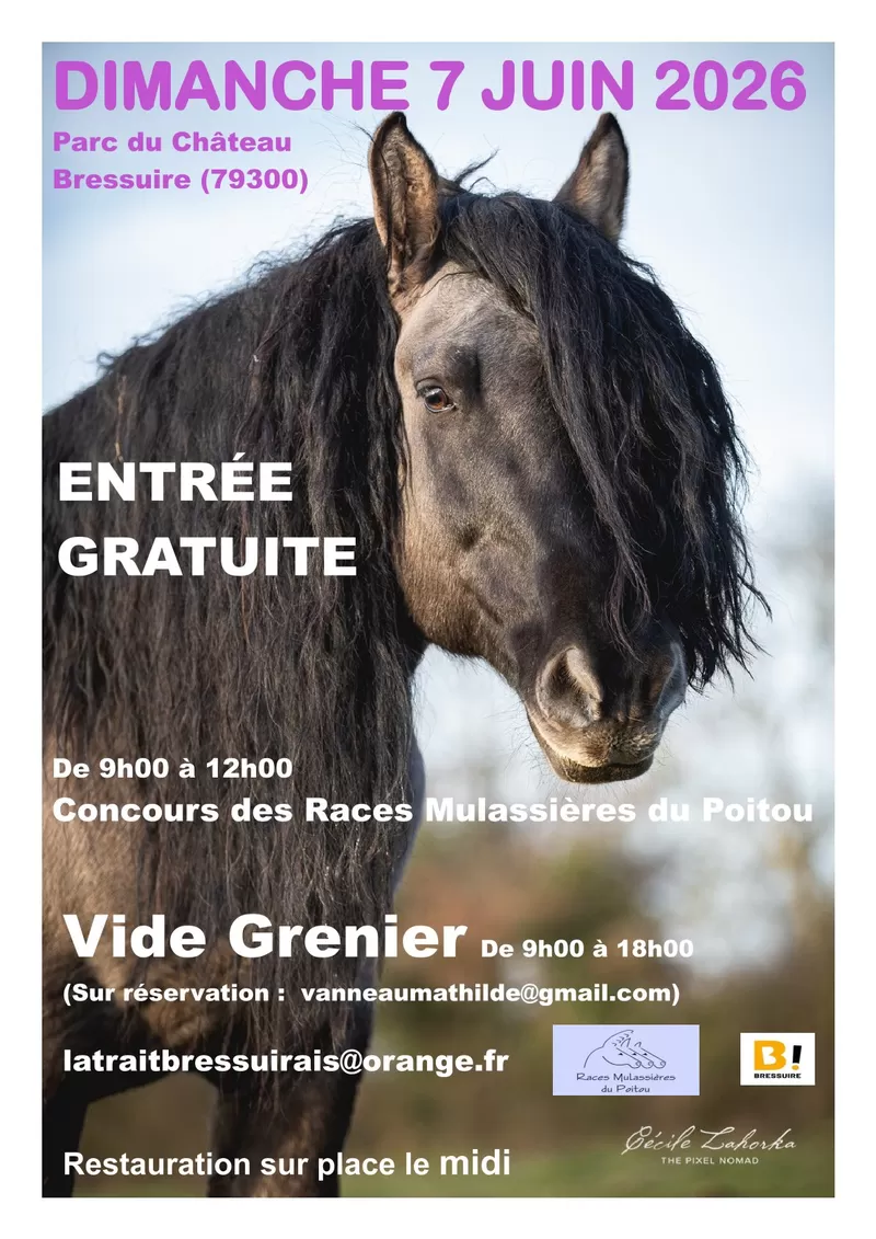 affiche Concours des races mulassières du Poitou et vide-grenier à Bressuire