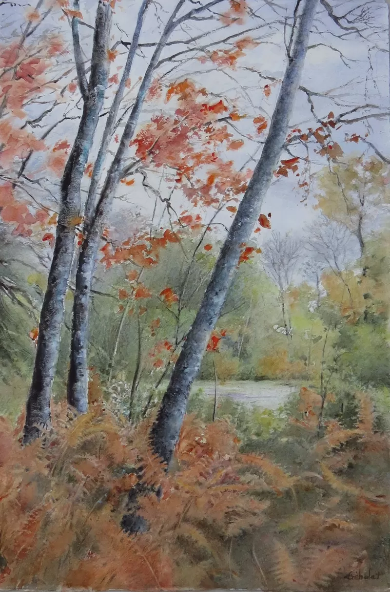 affiche 21ème Salon International de l'Aquarelle de Saint-Yrieix-La-Perche à Saint-Yrieix-la-Perche